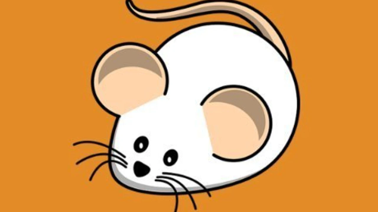 {{BLOG_TITLE image}}