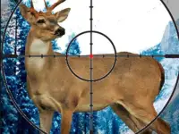 Stag Hunter