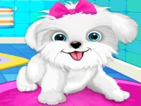 Puppy: Pet Salon  amp; Dog Daycare