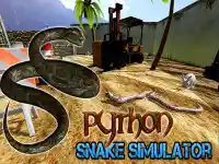 Python Snake Simulator background