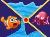 Clownfish Pin Out background