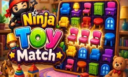 Ninja Toy Match