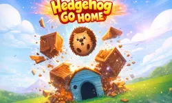 Hedgehog Go Home