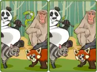 Wildlife Safari Five Diffs