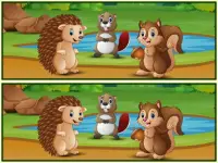 Spot The Differences Forests