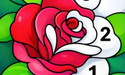 Color by Number