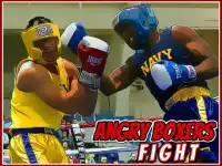 Angry Boxers Fight