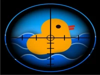 Quick Duck Shoot