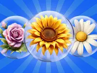 Dice Puzzle Flowers!